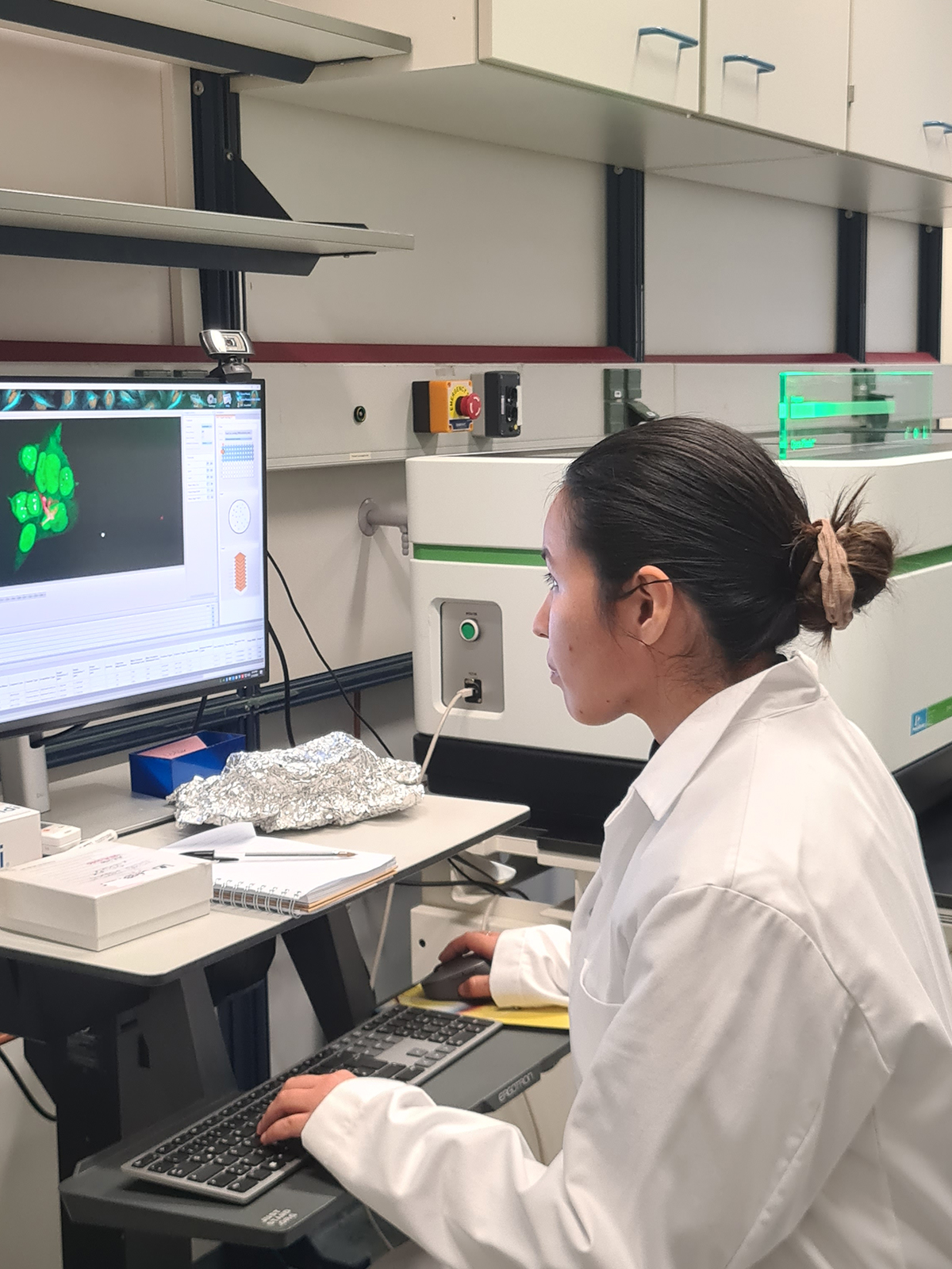 20240213_161400_1200x1600px