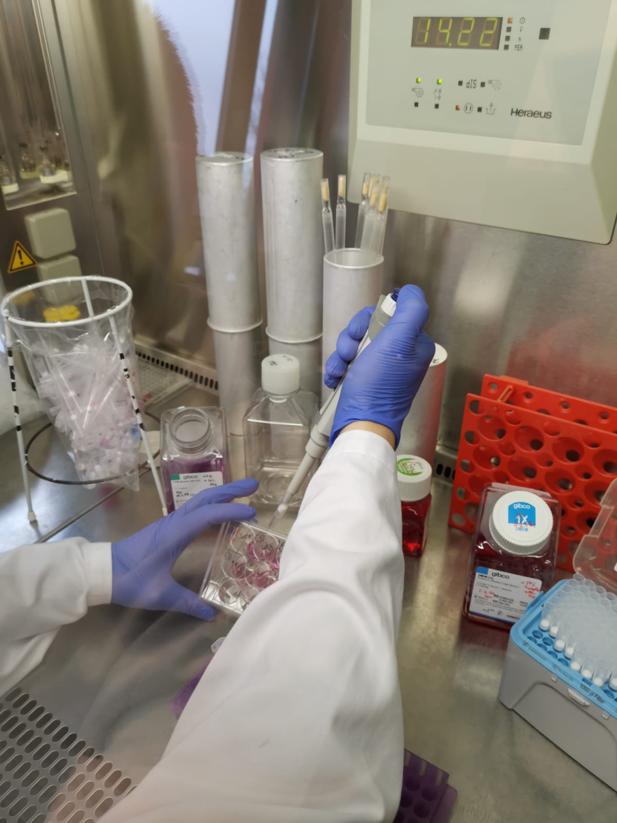 WhatsApp Image 2024-02-13 at 14.34.53 (3)